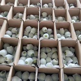 d64017c6fade3abea0c082a1349f293