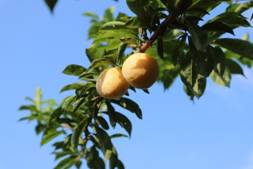 20180720075238_IMG_0250